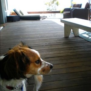 Meet your Posher, Jenny